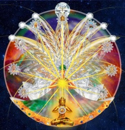 Karuna-ki léčivá energie/Mak